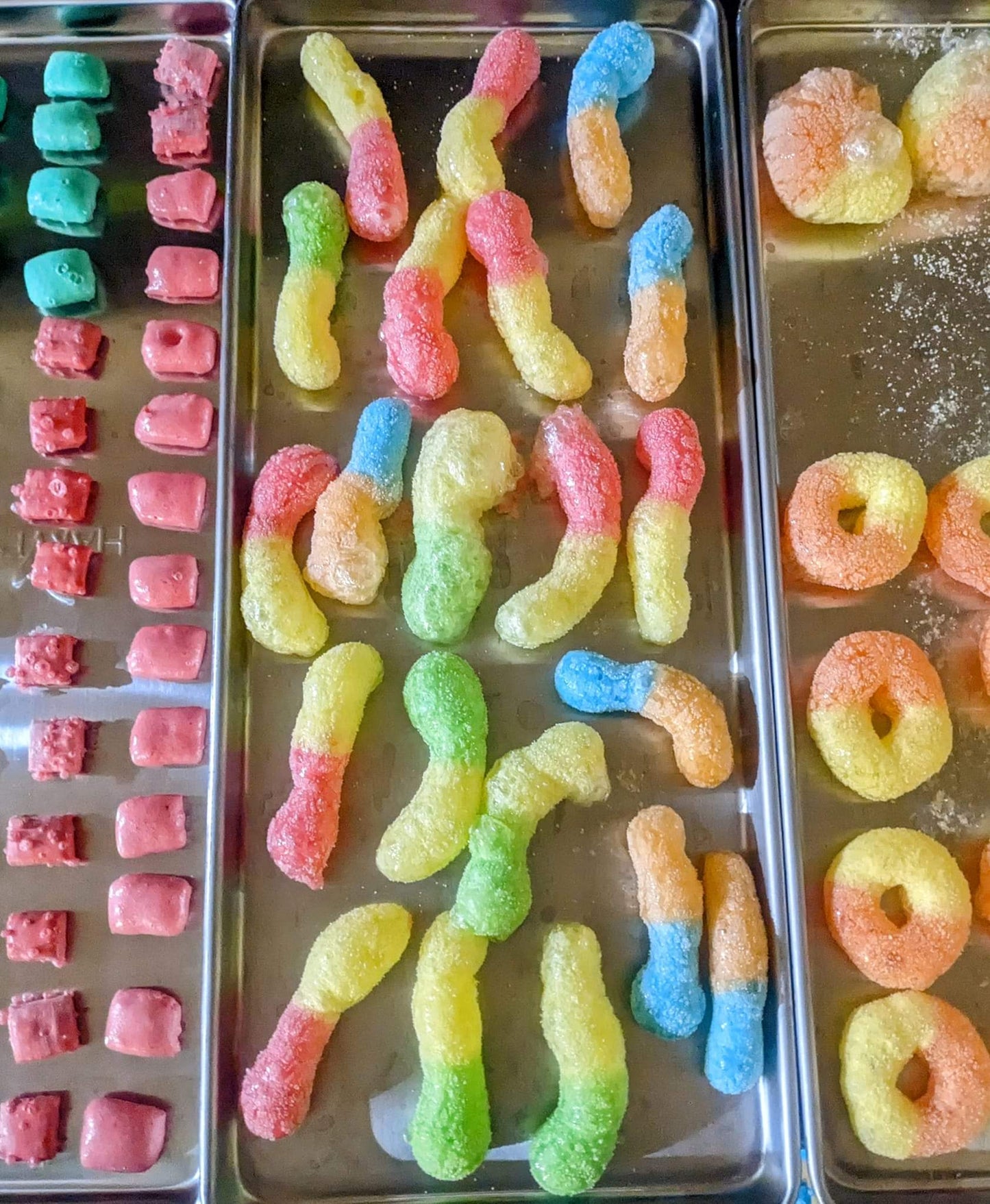 Freeze Dried Sour Gummy Worms