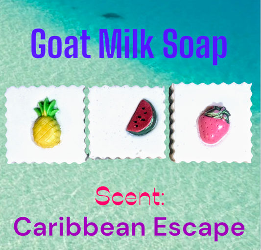 Goat Milk 2oz. bars