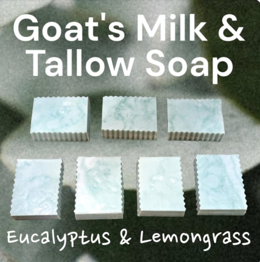 Tallow and Goat's Milk Soap-Eucalyptus & Lemongrass